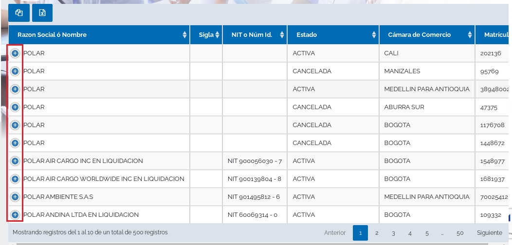 busqueda registro rues nombre